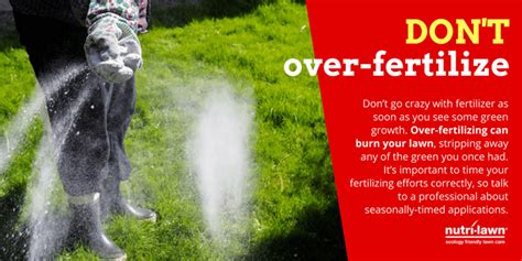 Don't over-fertilize.