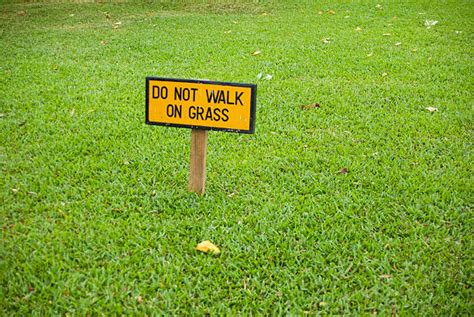 Don t Walk in the Long Grass PDF