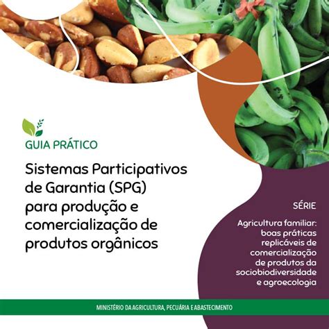 Dona Batata: Um Guia Completo para Produção, Comercialização e Lucratividade