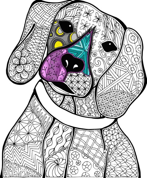 Doodle Animals Coloring Book for Adults Reader