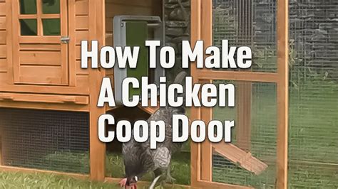 Doors for Chicken Coops: A Comprehensive Guide