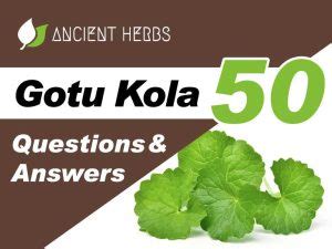 Dora Kola: A Comprehensive Guide to the Revitalizing Herbal Drink