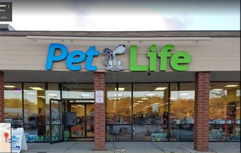 Dot's Pet Store: Your Pet's Happiest Place