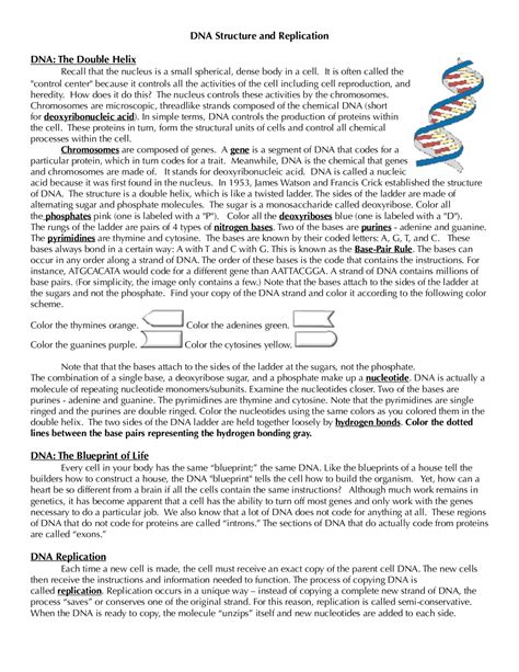 Double Helix Worksheet Answers Epub