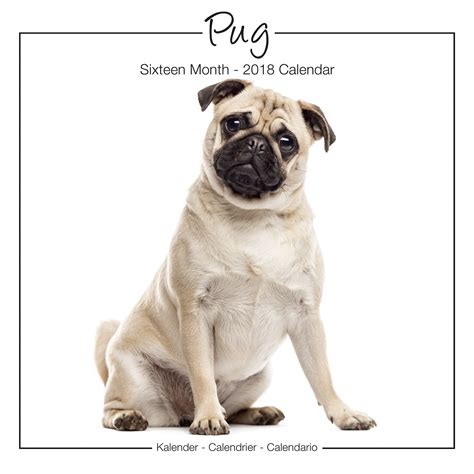 Doug the Pug 2018 Wall Calendar Dog Breed Calendar PDF