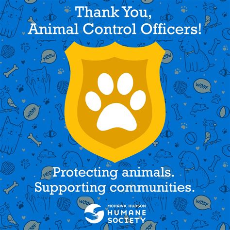 Douglas County Animal Control: Keeping Our Communities Safe and Humane