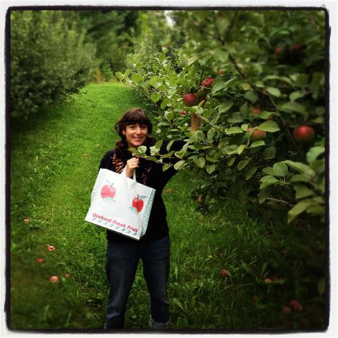 Douglas Orchard Vermont: A Comprehensive Guide to the State's Largest Apple Producer