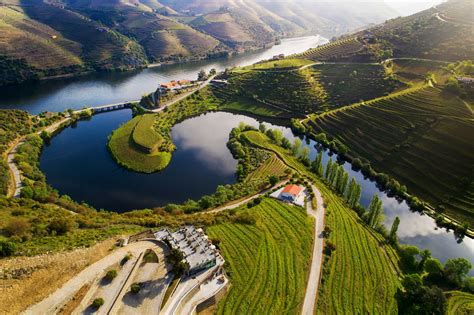 Douro Valley Wine Tasting: An Enchanting Journey for the Palate