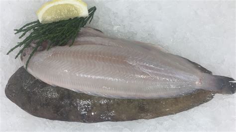 Dover Sole Near Me: A Guide to Finding the Freshest Fish