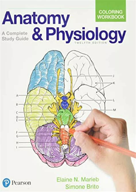 Download Anatomy and Physiology Coloring Workbook  A Complete Study Guide PDF Reader