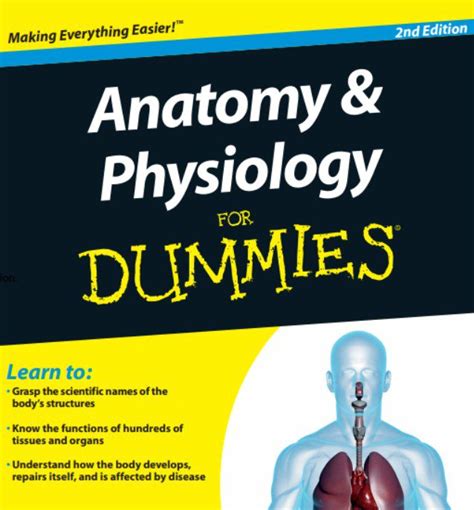 Download Anatomy and Physiology For Dummies PDF PDF