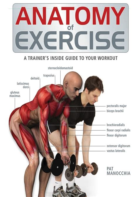 Download Anatomy of Exercise  A Trainer s Inside Guide to Your Workout PDF Kindle Editon