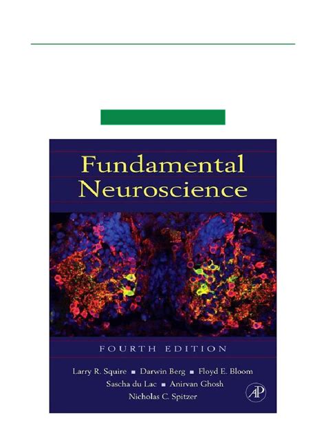 Download Fundamental Neuroscience, 4th Edition PDF Epub