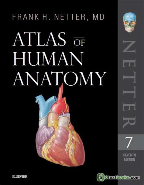 Download Human Anatomy  7th Edition    PDF Kindle Editon