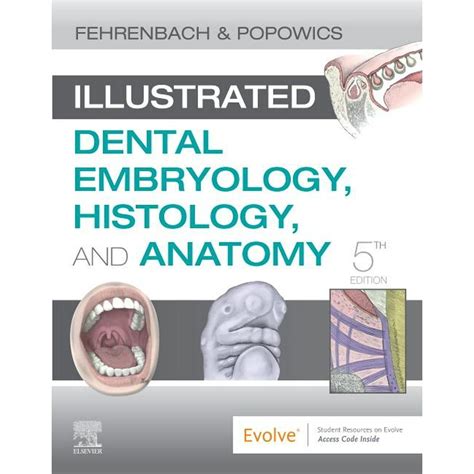 Download Illustrated Dental Embryology, Histology, and Anatomy, 3e PDF Epub