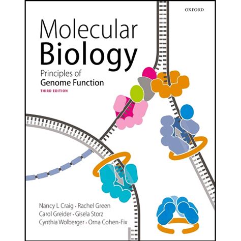 Download Molecular Biology  Principles of Genome Function PDF Epub