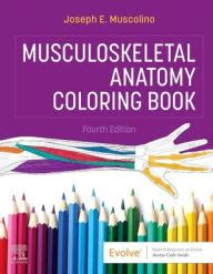 Download Musculoskeletal Anatomy Coloring Book  2e PDF Kindle Editon