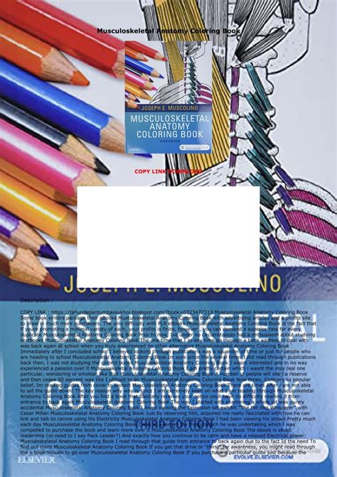 Download Musculoskeletal Anatomy Coloring Book  2e PDF Kindle Editon