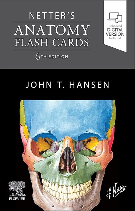 Download Netters Anatomy Flash Cards (7th Edition) PDF Epub