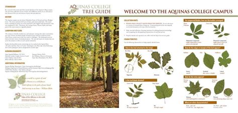Download The Map And Tree Guide Aquinas College Ebook Kindle Editon