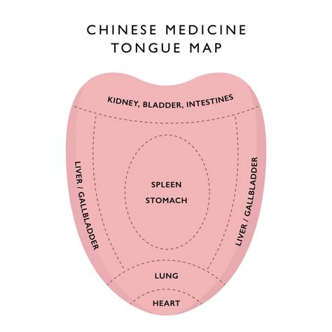 Download Tongue Diagnosis in Chinese Medicine PDF Doc