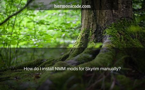 Download and Install NMM: