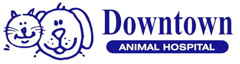 Downtown Animal Clinic Denver: Your Pet's Health Hub in the Heart of the Mile High City