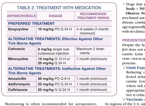 Doxycycline Dosage for Lyme Disease: Everything You Need to Know