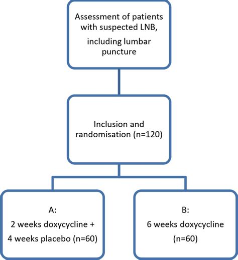 Doxycycline for Lyme Disease: A 30-Day Plan