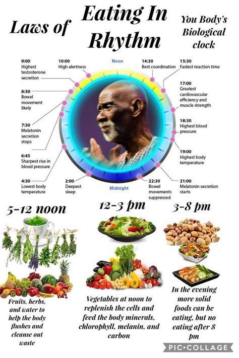 Dr Sebi Alkaline Chart