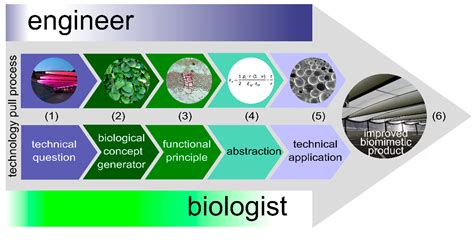 Dr. Mark Buehler: Pioneering Advancements in Biomimetics and Materials Science