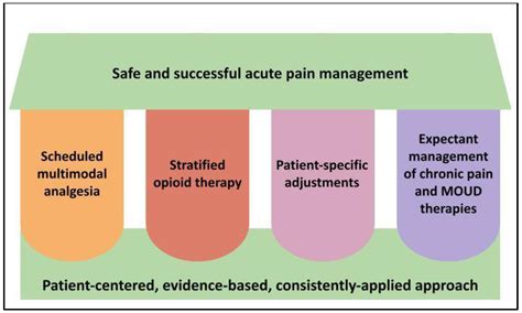 Dr. Schmidt's Approach to Pain Management