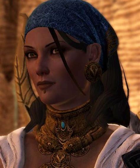 Dragon Age: Origins LGBT+ Representation: A Journey of Inclusivity