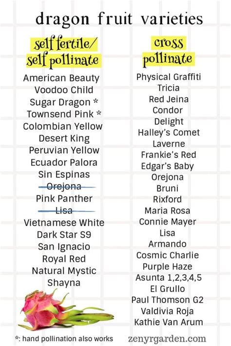 Dragon Fruit Pollination Chart