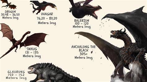 Dragon Size Chart Got