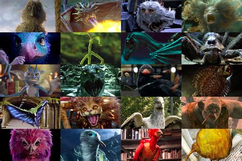 Dragones Harry Potter: 10,000-Word Guide to Magical Creatures