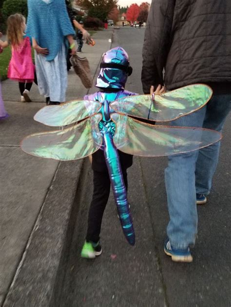 Dragonfly Costume: Explore the Realm of Graceful Wings and Vibrant Hues