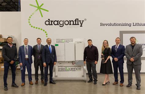 Dragonfly Energy: A Leader in Renewable Energy Innovation