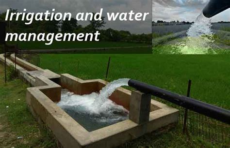 Drainage and Irrigation Water Management Reader