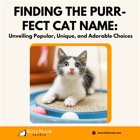 Drake Cat Name: A Guide to Finding the Purr-fect Match