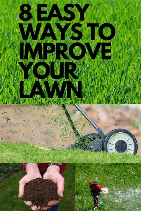 Drastically Improves Lawn Health: