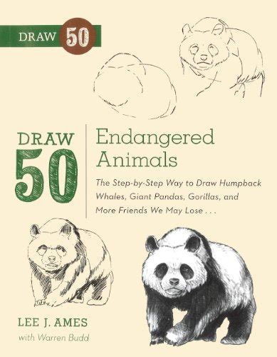 Draw 50 Endangered Animals The Step-by-Step Way to Draw Humpback Whales Giant Pandas Gorillas and More Friends We May Lose Epub