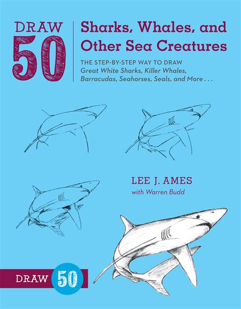Draw 50 Sharks Whales and Other Sea Creatures The Step-by-Step Way to Draw Great White Sharks Killer Whales Barracudas Seahorses Seals and More Kindle Editon