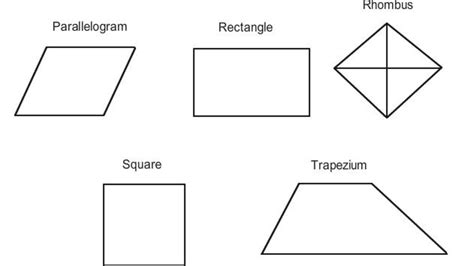 Draw A Rectangle That Is Not A Square