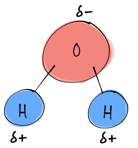 Draw a Water Molecule: A Comprehensive Guide for Beginners and Artists