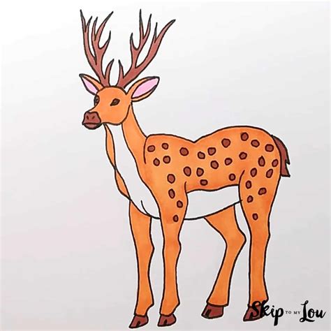Drawing Pictures Of Deer
