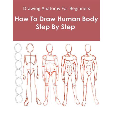 Drawing The Figure : Learn the Classical Approach to Drawing the Human form-Step by Step Reader