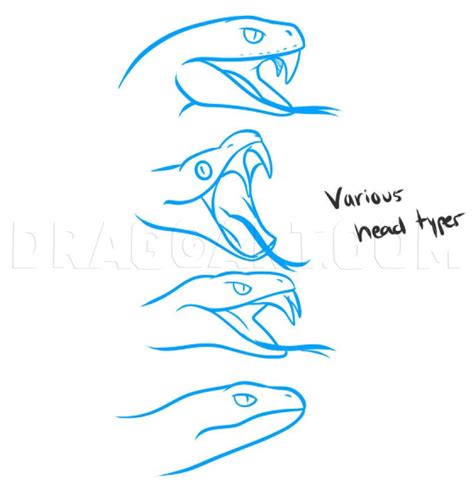 Drawing a Snake Head: A Comprehensive Guide