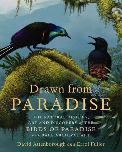 Drawn From Paradise The Discovery Art and Natural History of the Birds of Paradise