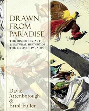 Drawn From Paradise The Discovery Art and Natural History of the Birds of Paradise Kindle Editon